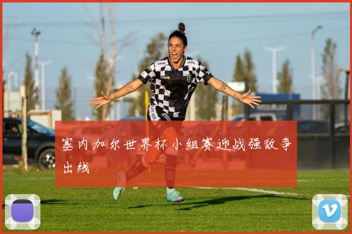 塞内加尔世界杯小组赛迎战强敌争出线