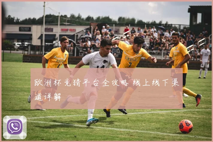 欧洲杯竞猜平台全攻略 线上线下渠道详解