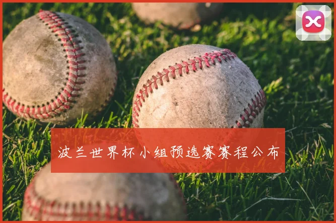 波兰世界杯小组预选赛赛程公布