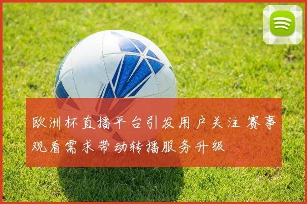 欧洲杯直播平台引发用户关注 赛事观看需求带动转播服务升级