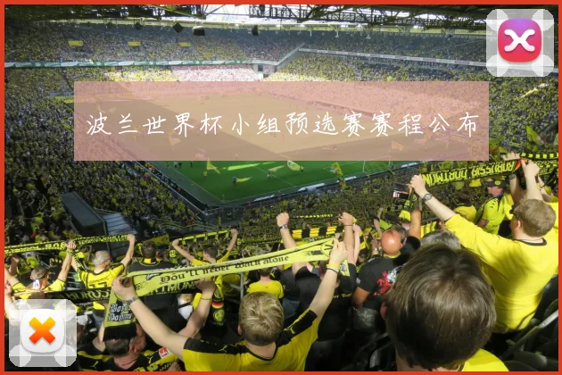 波兰世界杯小组预选赛赛程公布