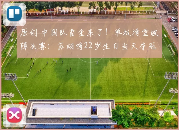 原创 中国队首金来了!单板滑雪坡障决赛:苏翊鸣22岁生日当天夺冠