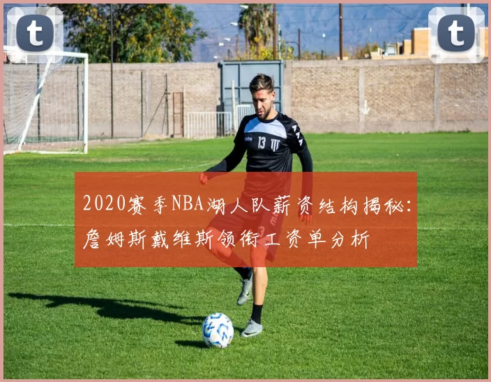 2020赛季NBA湖人队薪资结构揭秘：詹姆斯戴维斯领衔工资单分析